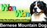 wonwon 的會員頭像