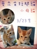 cat800116 的會員頭像