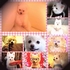 asza0620 的會員頭像