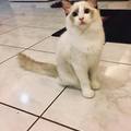 cdkitty2000 的會員頭像