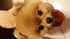 baby11230523 的會員頭像