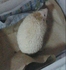 enmy 的會員頭像