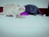 0905233000 的會員頭像