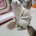U咪 的會員頭像