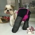 施明明 的會員頭像