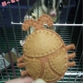 沐沐-杜比亞專賣 的會員頭像