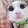 Ltlxxhcjgi 的會員頭像