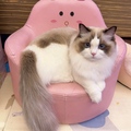 小小方 的會員頭像