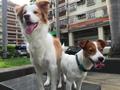李堂 的會員頭像