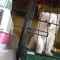 韓明龍 的會員頭像