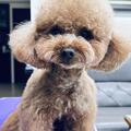 MEIMEI倪 的會員頭像