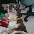游點點 的會員頭像