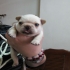 s702701 的會員頭像
