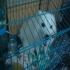 cuteqq7 的會員頭像