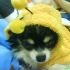 gn1221163 的會員頭像