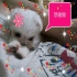 sarah0427 的會員頭像