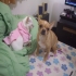 wubabo 的會員頭像