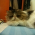 ilovepierre 的會員頭像