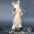 kevin19791013 的會員頭像