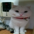 DARCY0603 的會員頭像