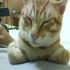 jason821020 的會員頭像