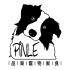 pinle0627 的會員頭像
