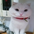 511322 的會員頭像