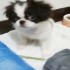 fup940131 的會員頭像