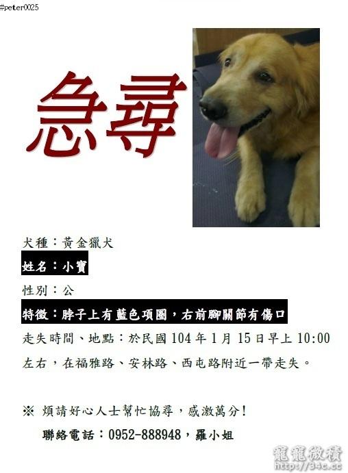 台中市