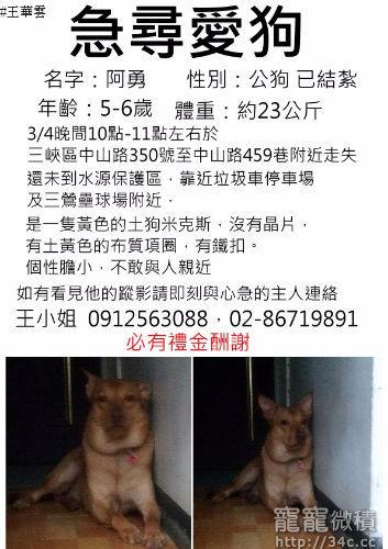 新北市