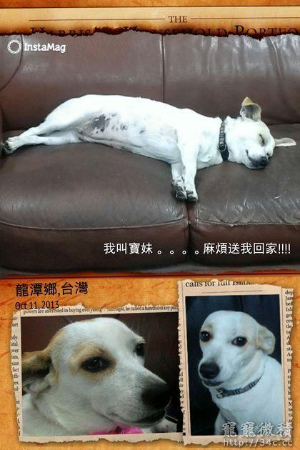 桃園縣