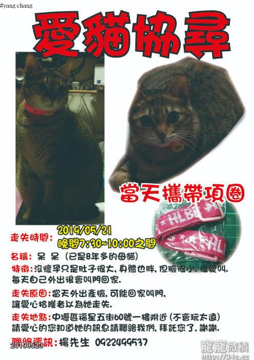 桃園市
