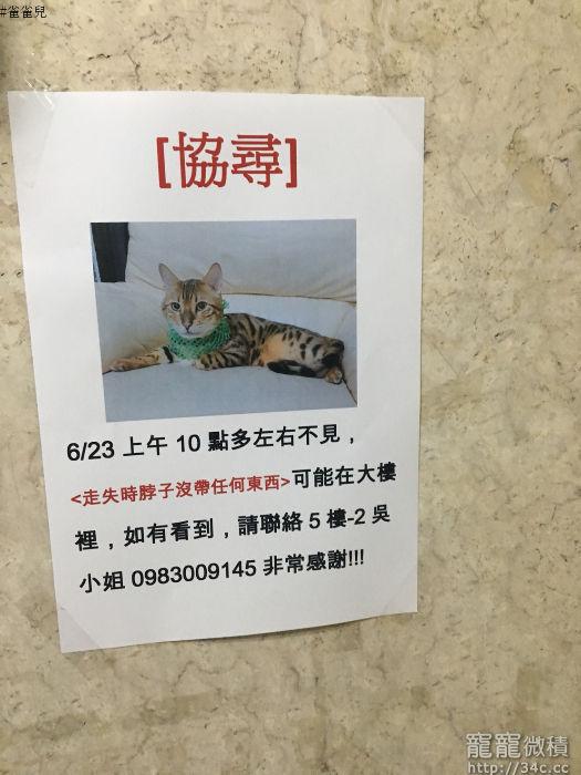 新北市