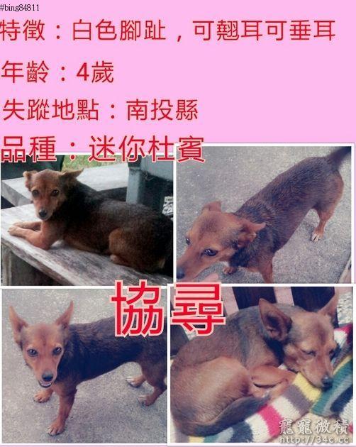 南投縣