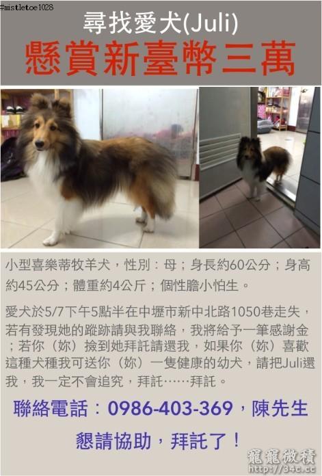 桃園縣