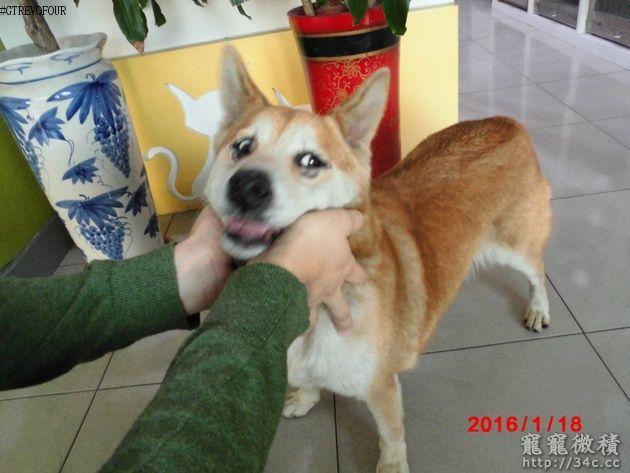 高雄縣