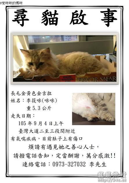 台中市