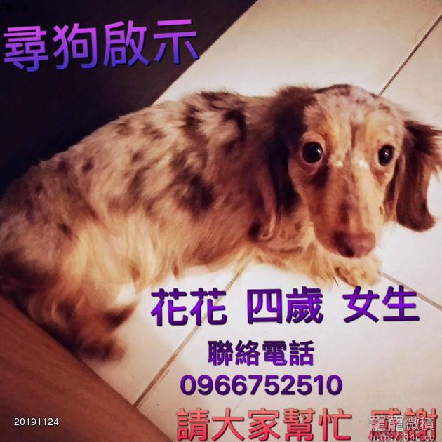 新北市