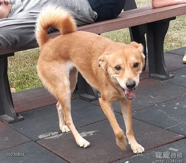高雄市