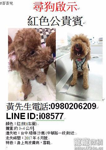 台中市