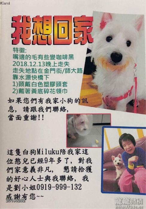 台北市