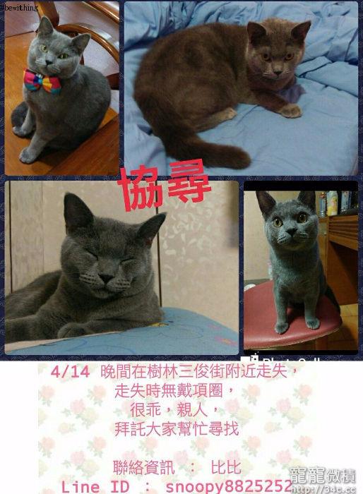 新北市