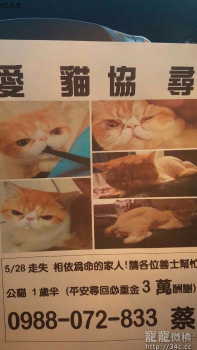 桃園市