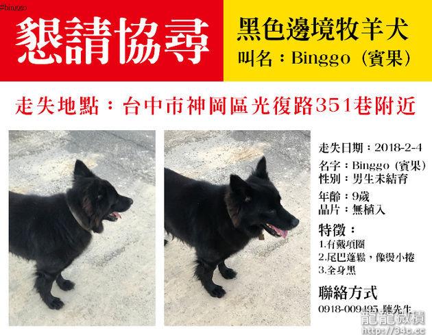 台中市