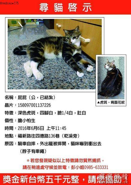 台中市