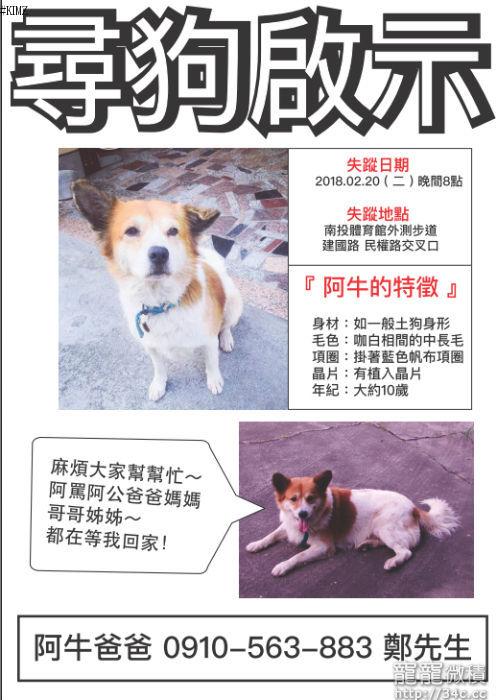 南投縣