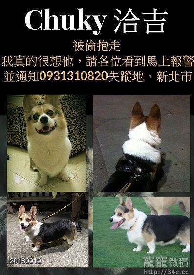 新北市