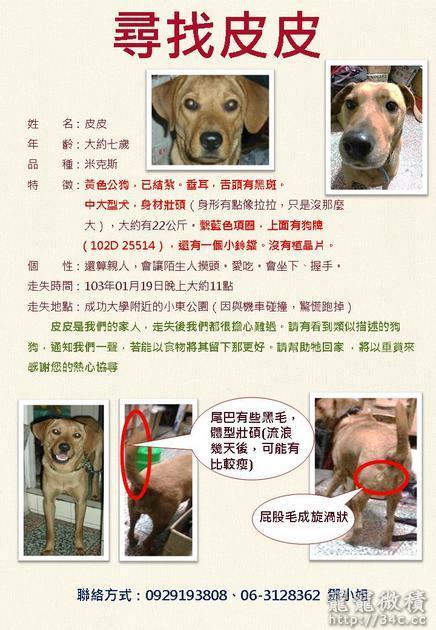 台南市