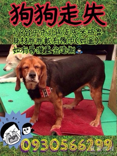台中市