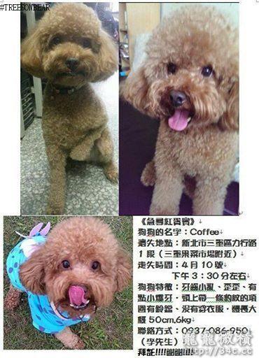 台北縣